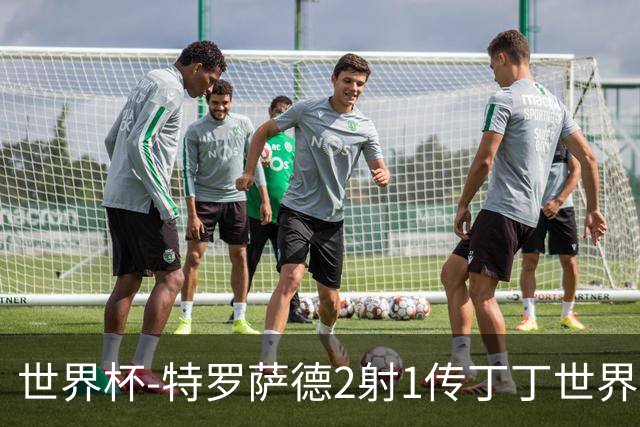 世界杯-特罗萨德2射1传丁丁世界波 比利时5-1新西兰获头名